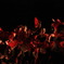 no_title(2011_09_18)