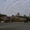 桜とお城