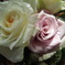 flower2