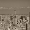 東京砂漠