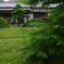 IMGP0274