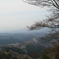 吉野