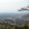 吉野