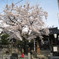 花まつりの大満寺