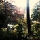 血洗いの池２