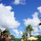 青い空　白い雲