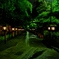 雨の八坂神社