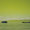 boats 