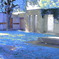 sparkring garden .1