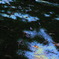 sparkring garden .2