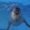 水族館