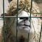 動物園