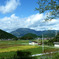 夏から秋へ