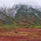 大雪山旭岳の紅葉