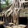 Nature 'N' Heritage