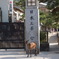 日本三景『宮じか』