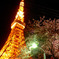東京タワー with S