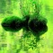 green symmetry