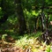PHOTO RIDE
