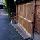京散歩