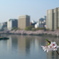 大川の春 2009 Ⅱ