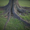 20110923-_MG_5890