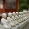 20110925-IMG_6199