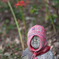 20110925-IMG_6275