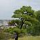 熊本城　外2