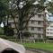 くらげ公園