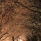 EF-S18-55mm f/3.5-5.6 USM