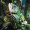 水族館