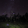 Flowers and Stars