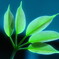 Ⅴ・Ｌｅａｖｅｓ