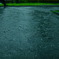 雨の音