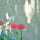 cluster amaryllis　Ⅴ