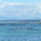 PICT0013