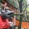 京都　伏見稲荷にて