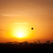 balloon safari