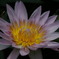 2011_0916_123011-DSCF1204