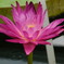 2011_0916_123142-DSCF1209