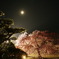 月と桜