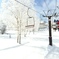 IMG_0204[1]