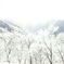 IMG_0206[1]