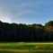 bright place 