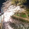 高崎夜桜