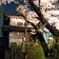 高崎城跡