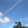 飛行機雲