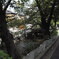 高瀬川