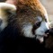 200904多摩動物公園_009